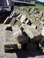 Reclaimed Coping Stone